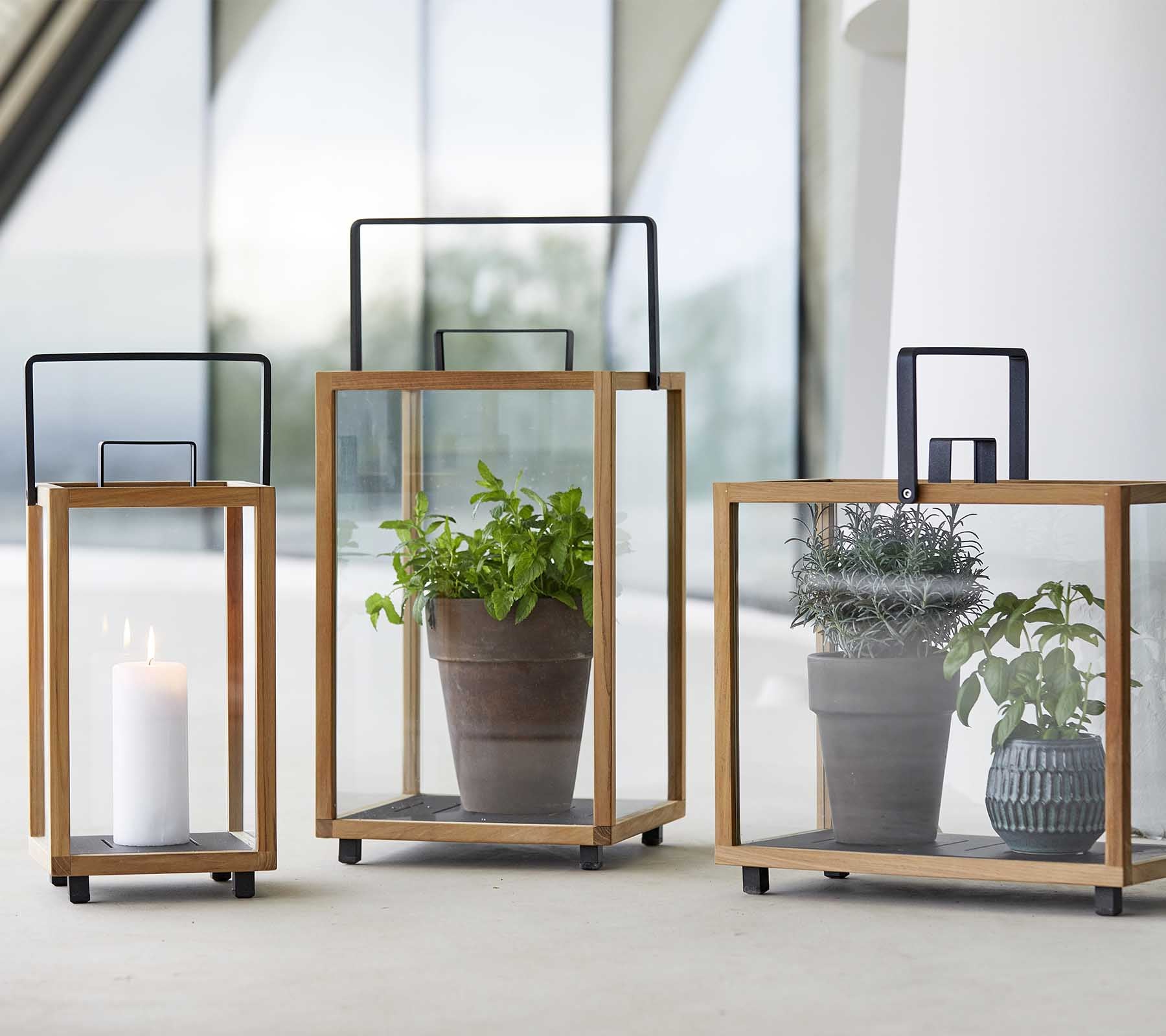 Tre stilige glaslanterner med trærammer, der fremviser et lys og potteplanter indeni hver.