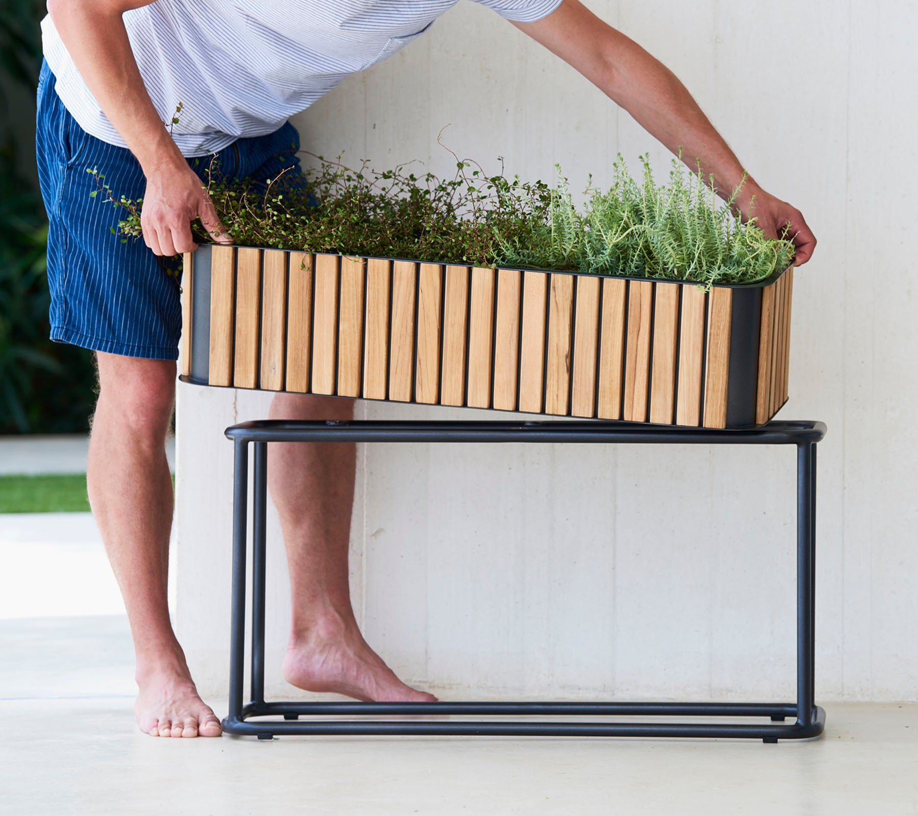 En person arrangerer planter i en træplanter i en elegant metalstand, der viser en blanding af naturlige og moderne designelementer.