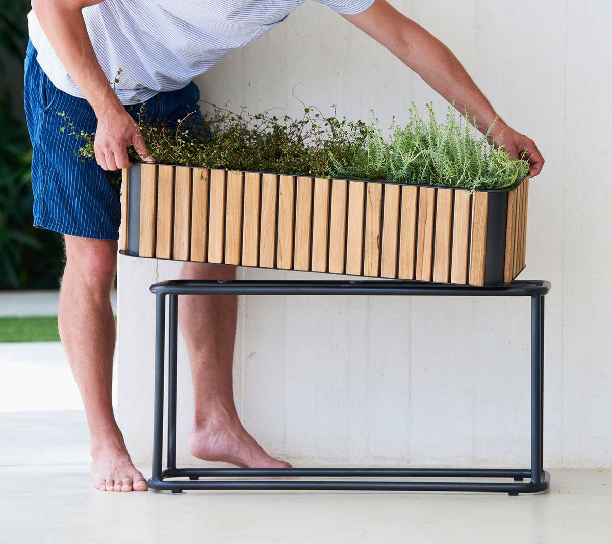 En person arrangerer planter i en træplanter i en elegant metalstand, der viser en blanding af naturlige og moderne designelementer.