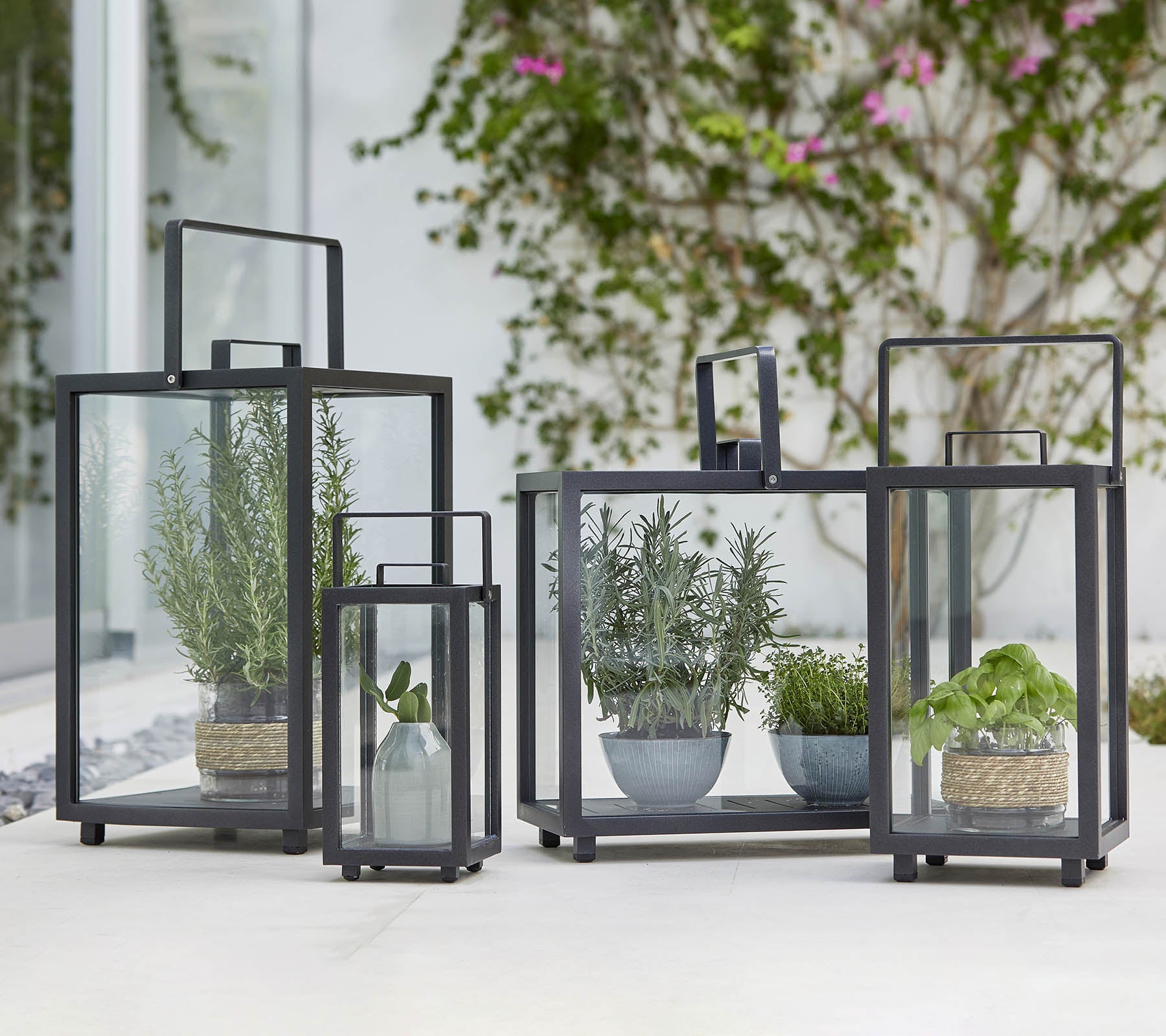 Fire geometriske glaslanterner med forskellige potteplanter indeni, der fremhæver moderne design og grønt.
