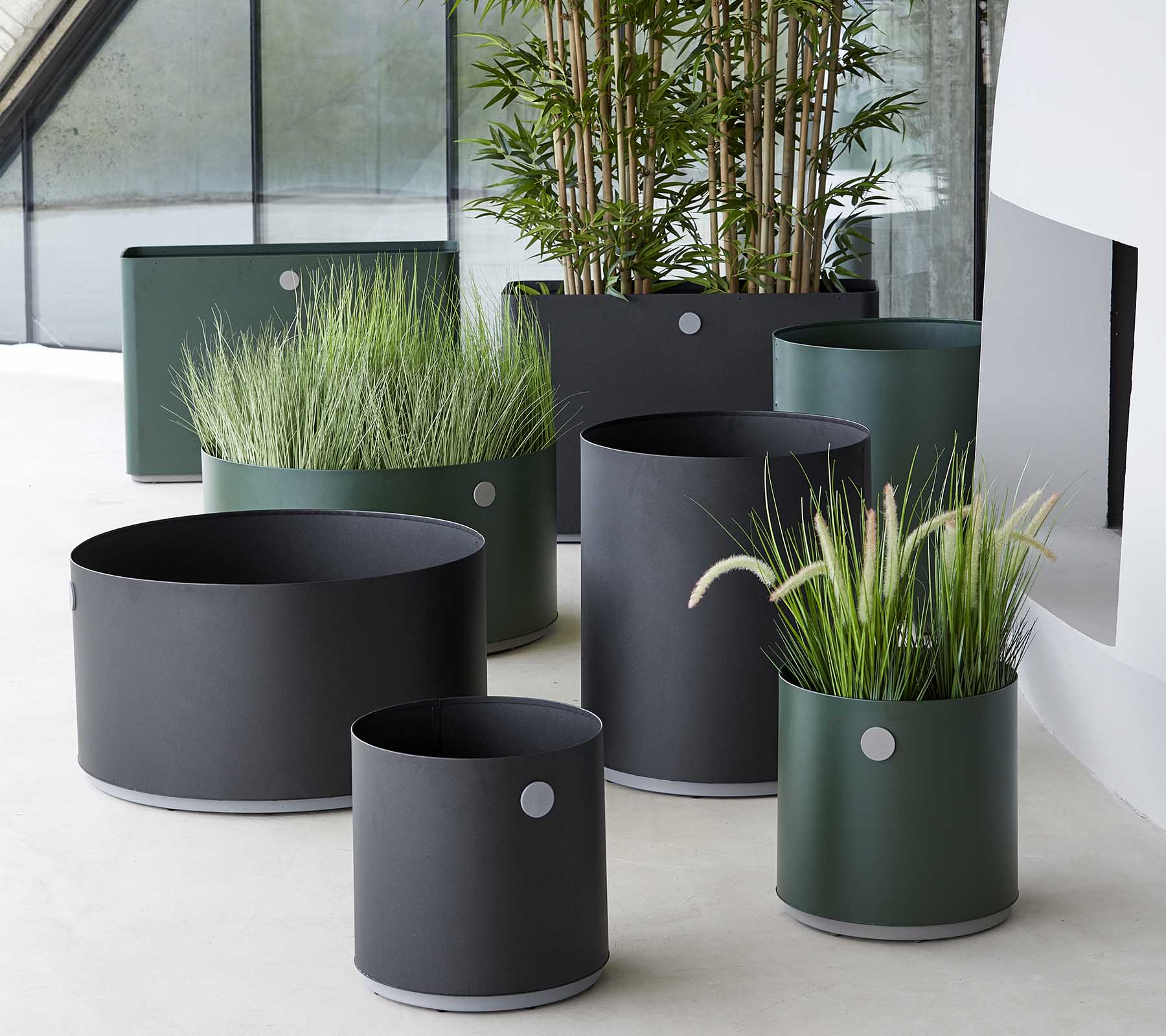 Forskellige moderne planter i mørke nuancer, med prydgræs og planter, arrangeret i en stilfuld indstilling.