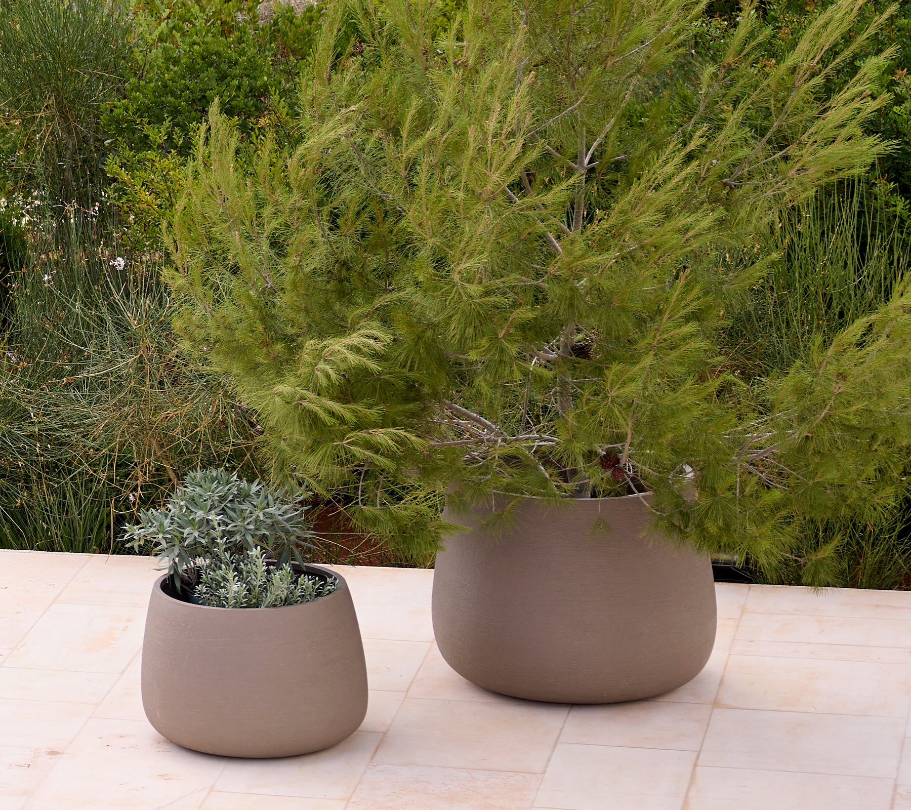 To moderne grå plantekummer med grønne planter i en udendørs haveindstilling.