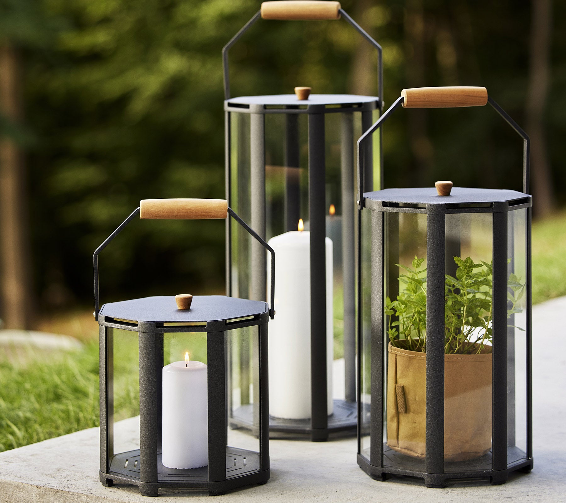 Tre lanterner med træhåndtag, der viser stearinlys og planter, sat mod en naturlig baggrund. Ideel til at forbedre atmosfæren.